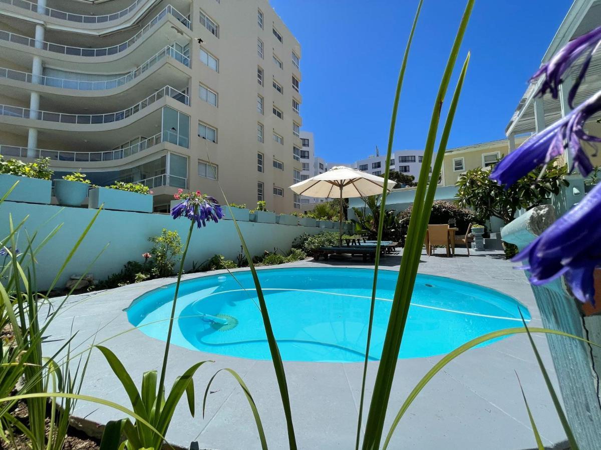 Amoris Guest House-sea Point Guest house Cape Town
