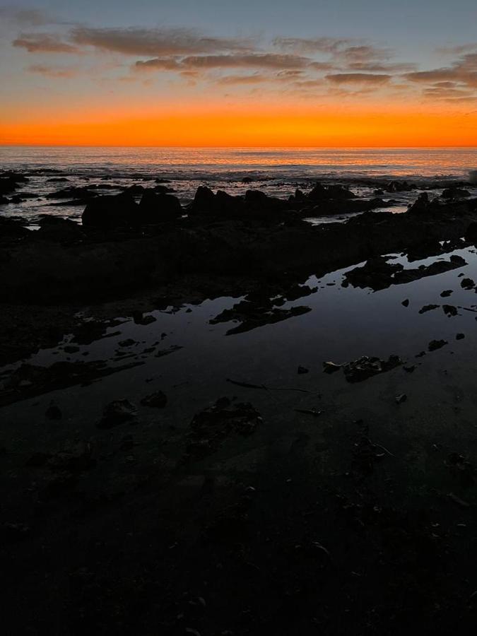 Cape Royale Luxury In Green Point South Africa Cape Town