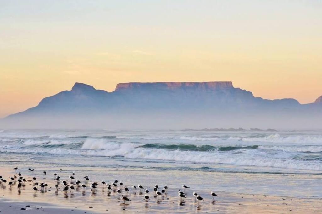 Beachfront Seaview * Cape Town
