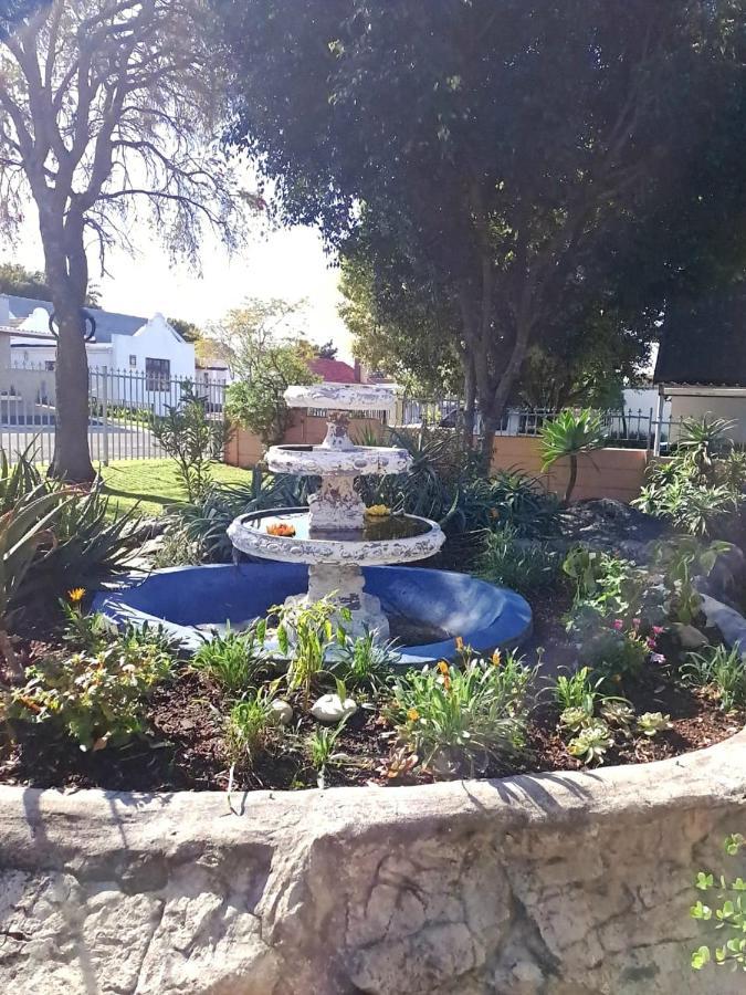 Cosy And Family * Cape Town