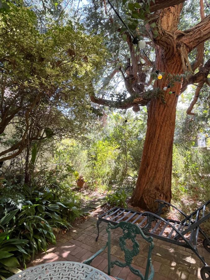 Guest house Constantia