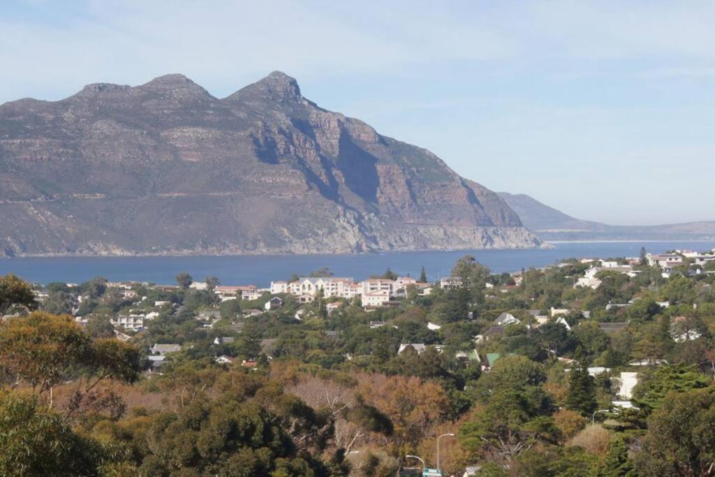 The Palm Hout Bay * Cape Town