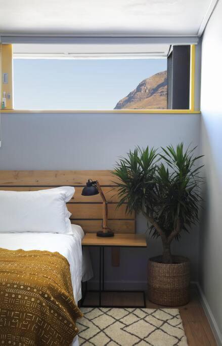 Lion House In Bo Kaap - Number 53 *