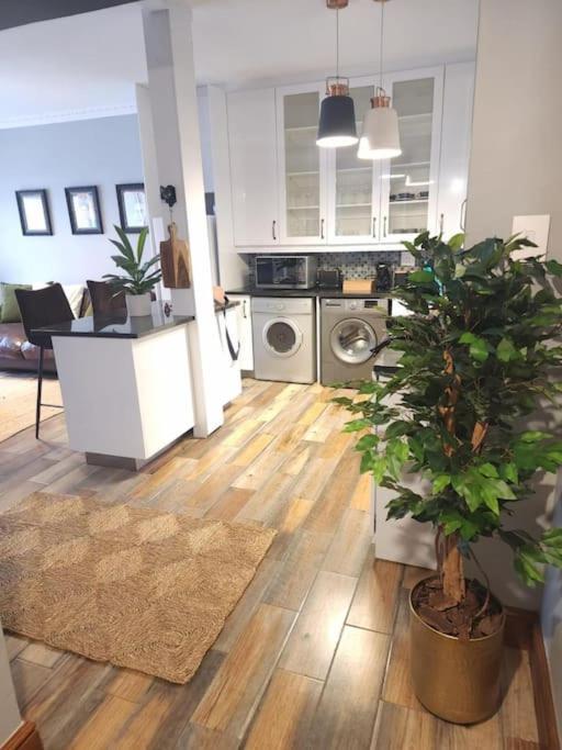Apartment Cape Town, Sea Point, Beautiful 2 Bedroom @tucked Away Cape Town