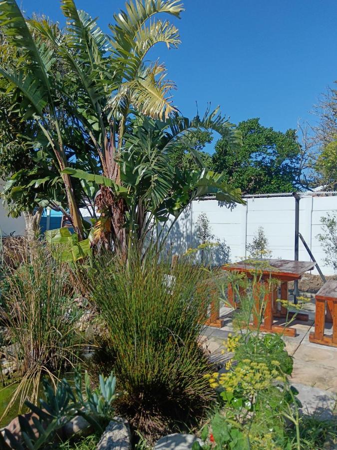 Apartment Private & Spacious Olive In Bloubergstrand