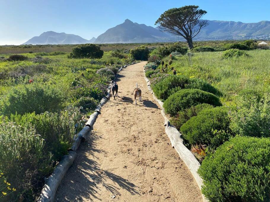 Peak Paradise At Kommetjie Apartment