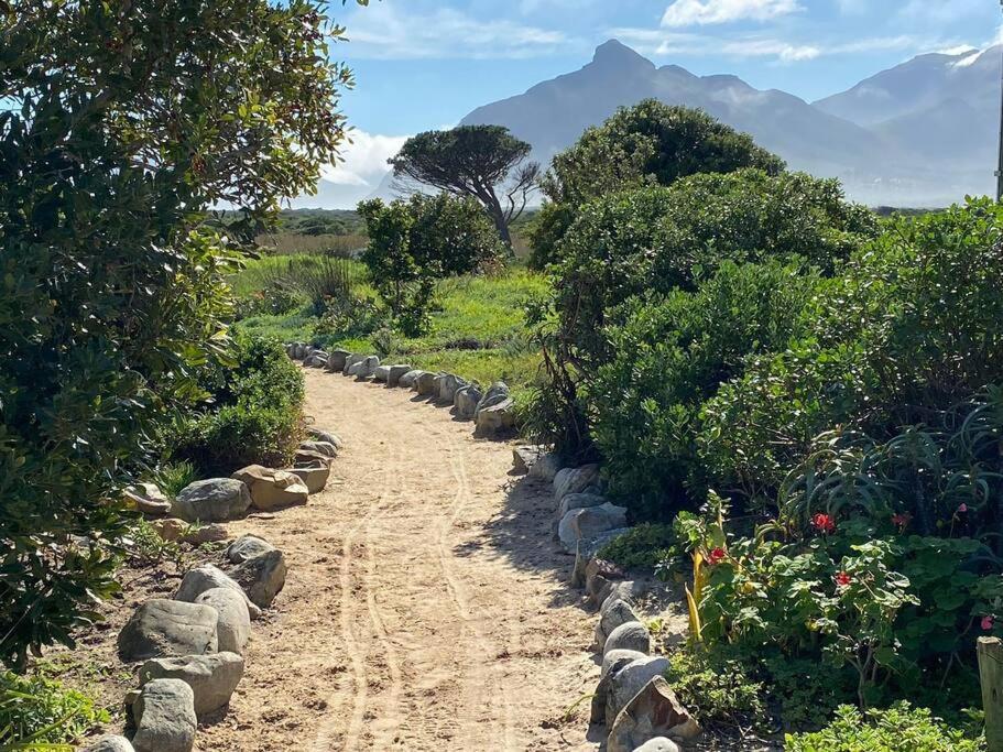 Peak Paradise At Kommetjie Cape Town