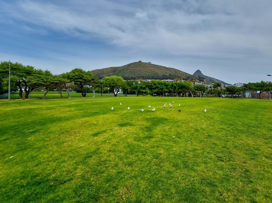 Point Living With Stadium View *