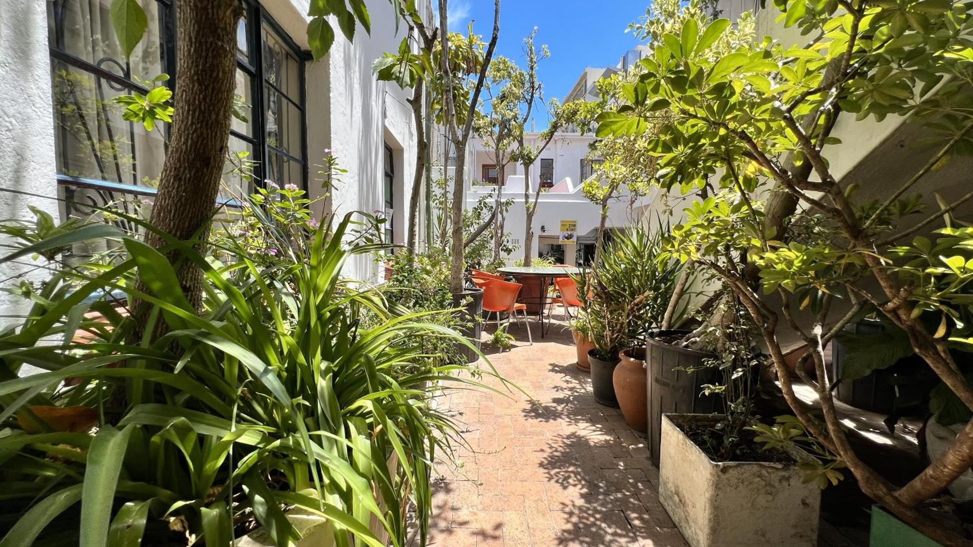 Long Street Backpackers (adults Only) *