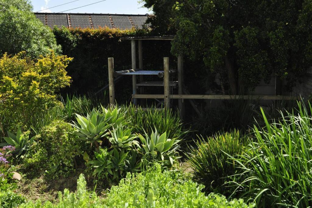 Morningside Full Solar, Pizza Oven And Pool * Cape Town