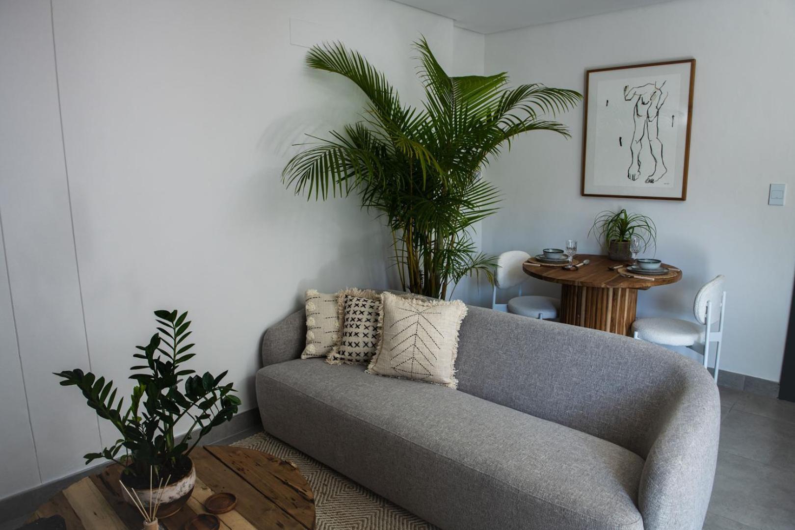 Apartment 3 On Albany Luxury *