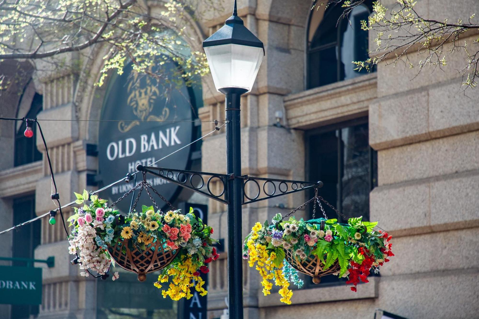 Hotel Old Bank - Lion Roars & 4*