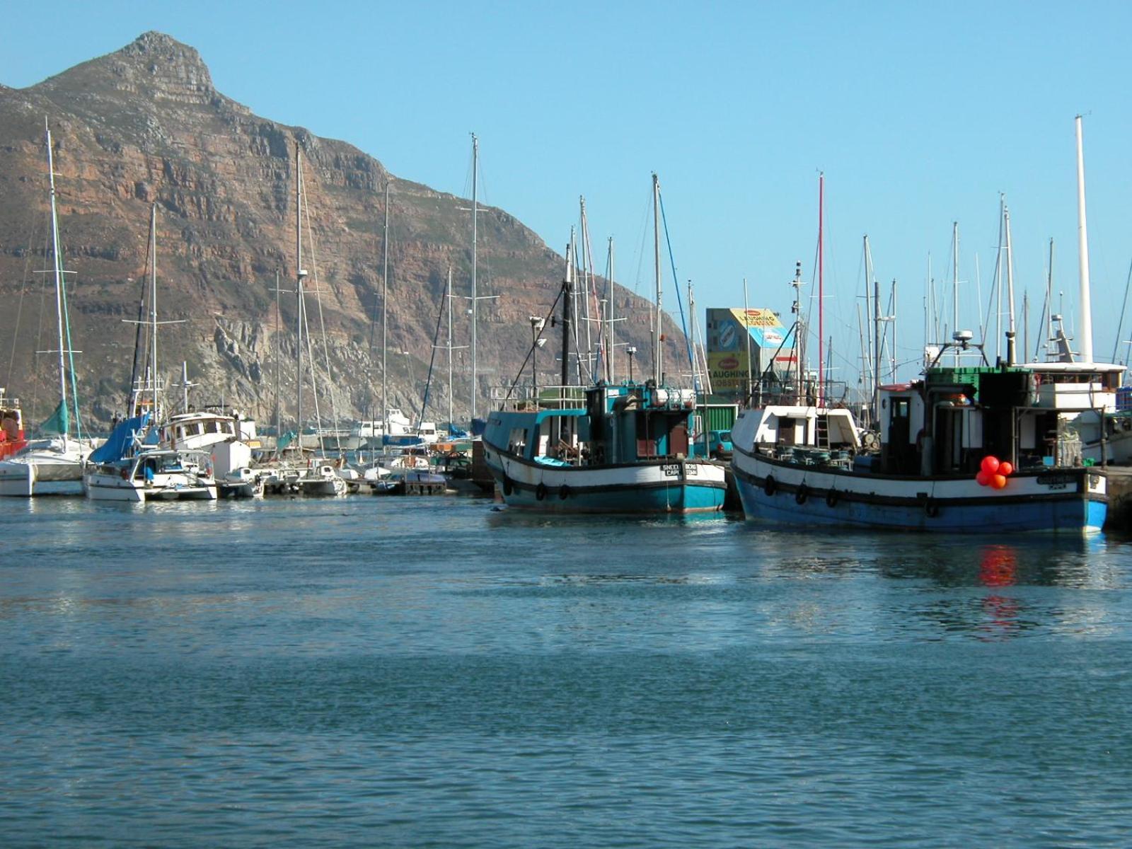 The Palm Hout Bay Apartment Cape Town