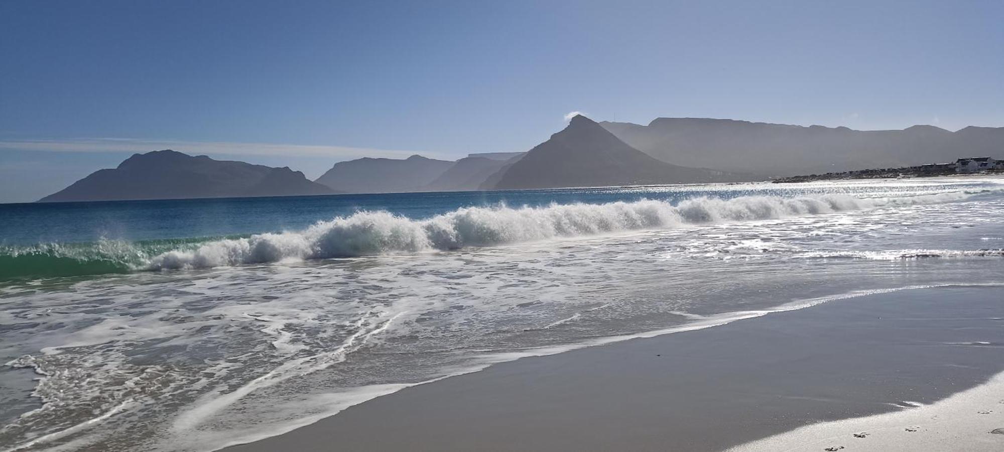 Koi Cape Town