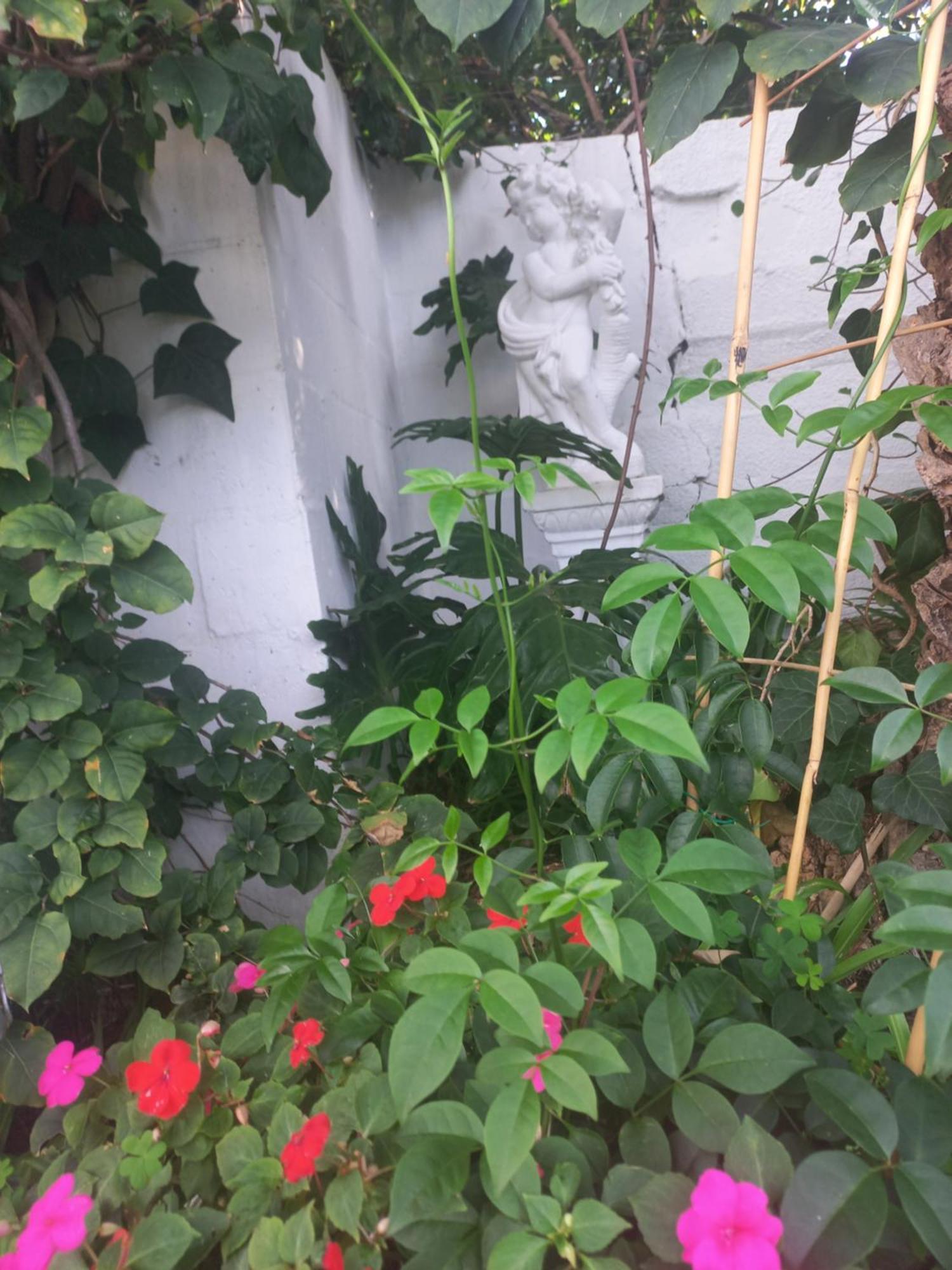 Homestay Canberra On Greenwood Cape Town