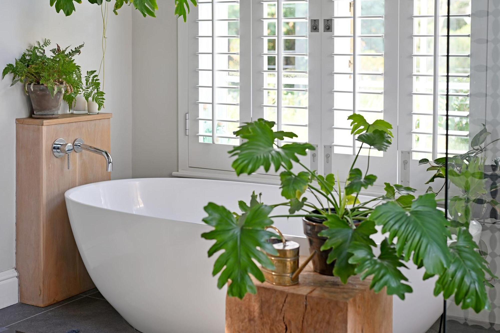 Riverlea Pool River Mountain Views Family Garden Villa Cape Town