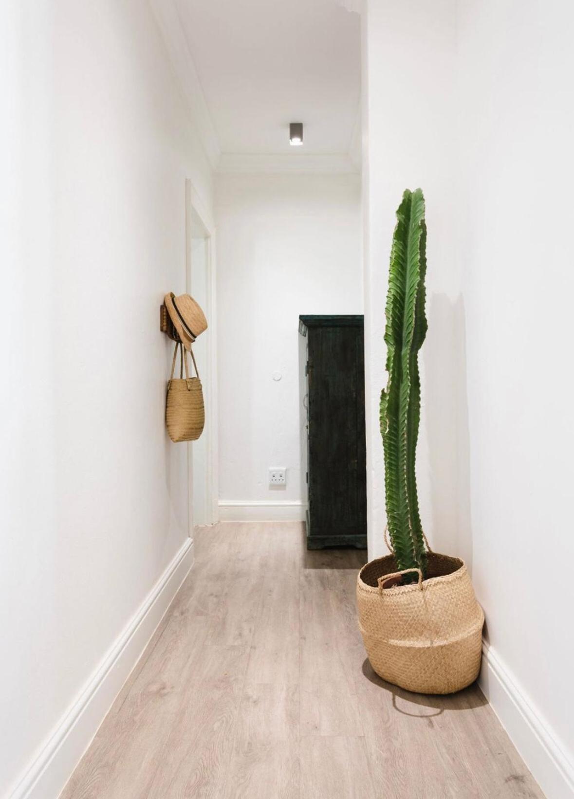 Apartment Roeland Terrace 2b *