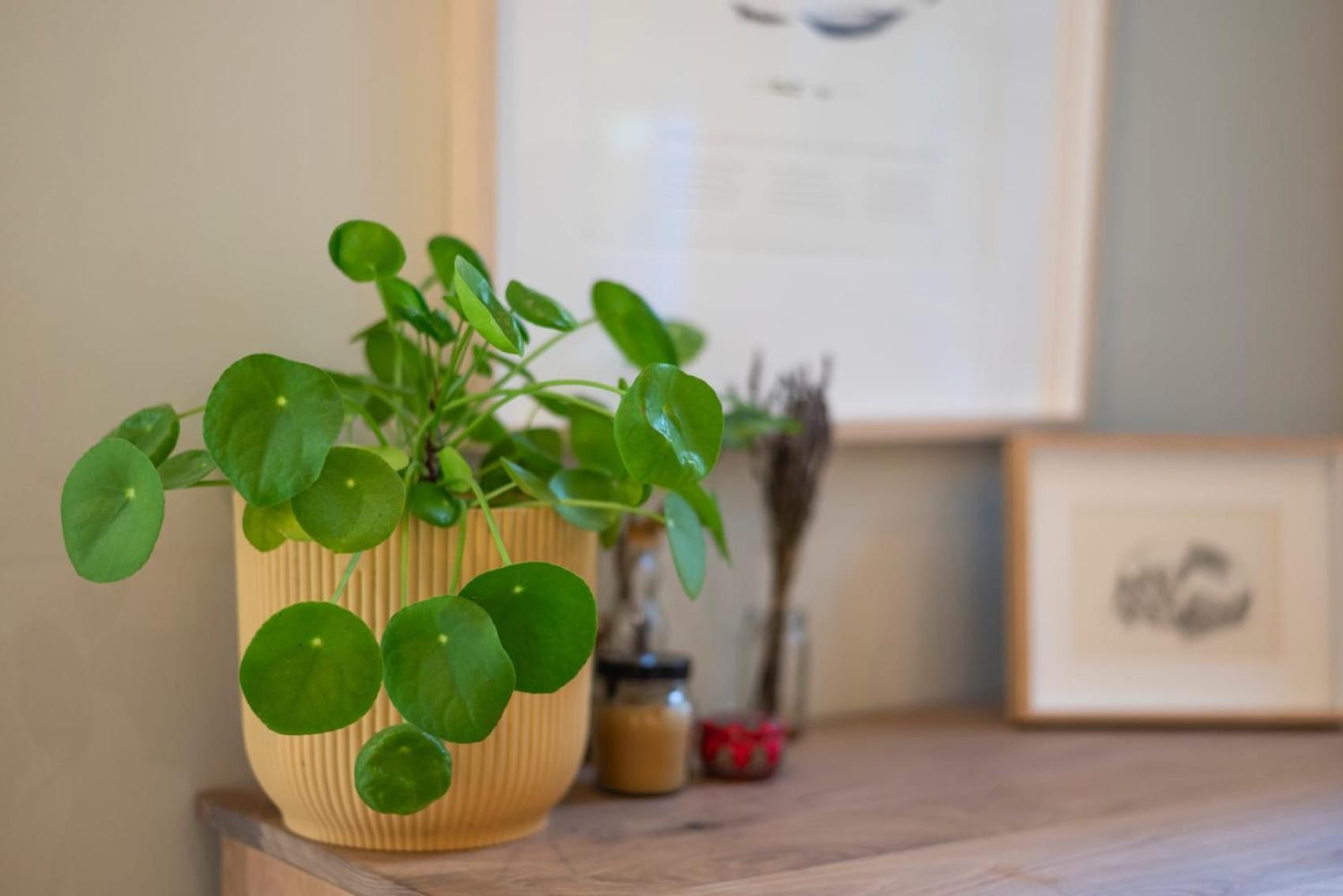 Lovely In Trendy Bo-kaap! Holiday home