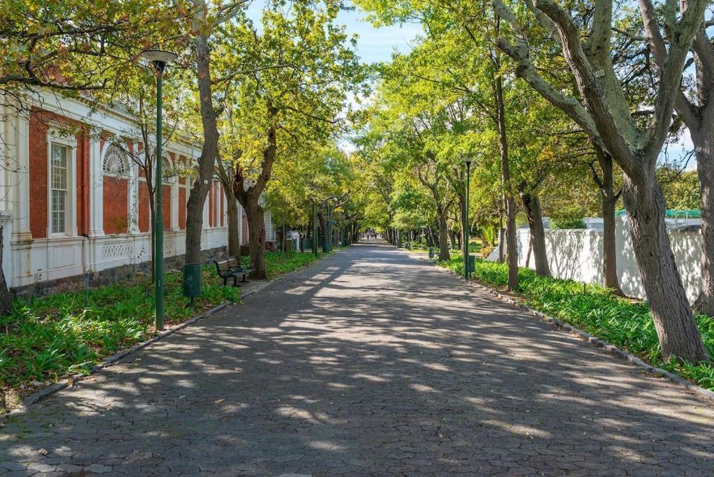 Apartment Stunning Central Modern Living Fast Wi-fi Parking Cape Town