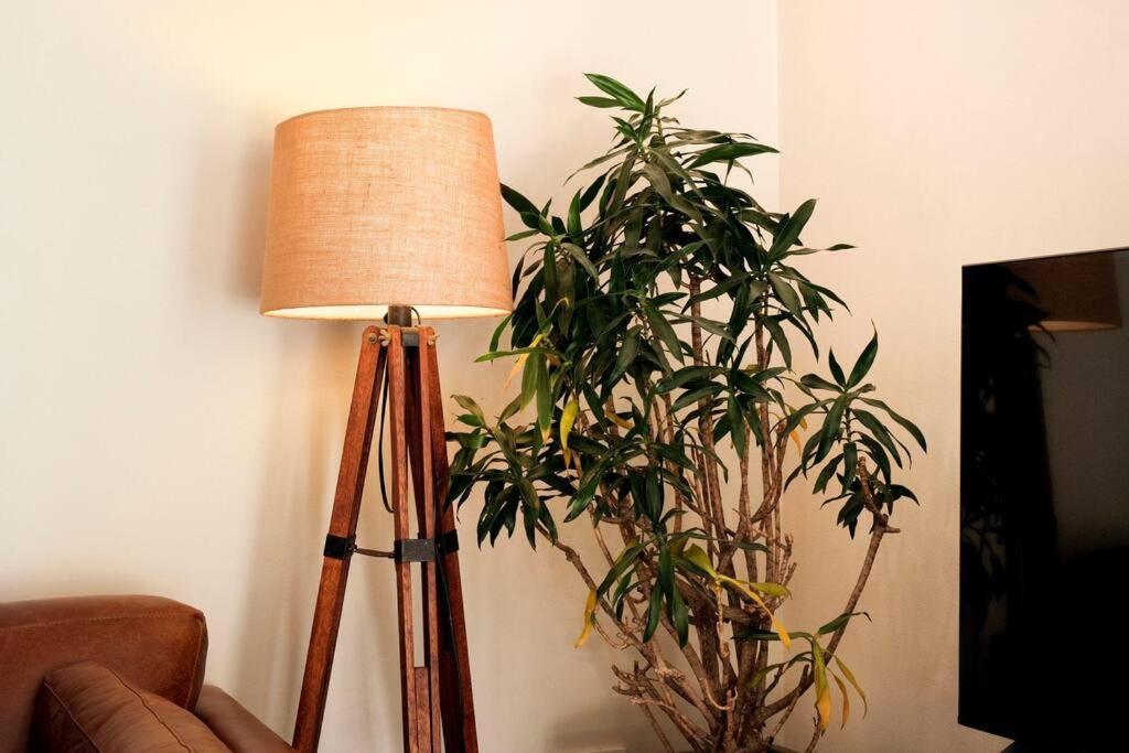 Rose Apartment Cape Town