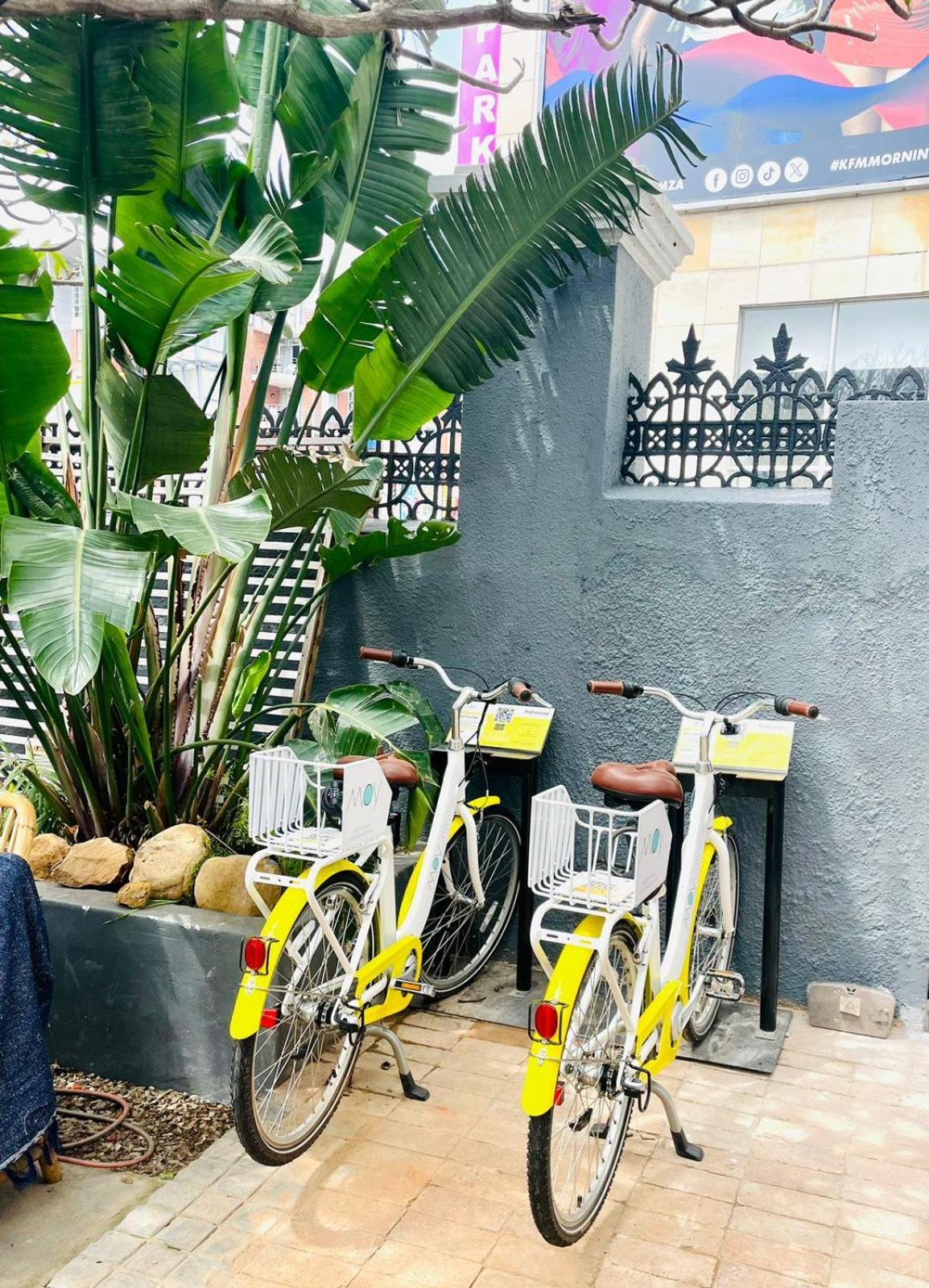 Moy & Backpackers Guest house Cape Town