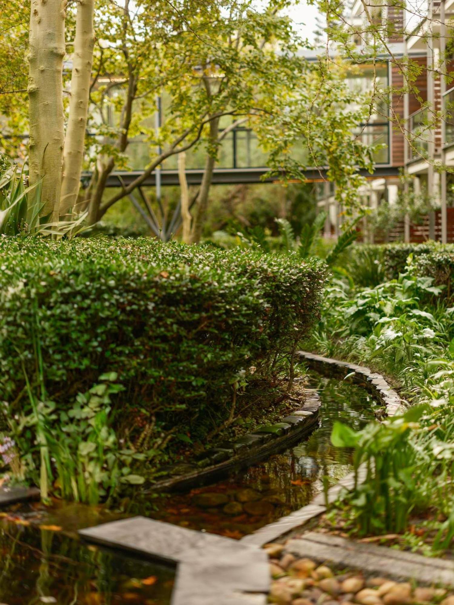 Vineyard Hotel Cape Town