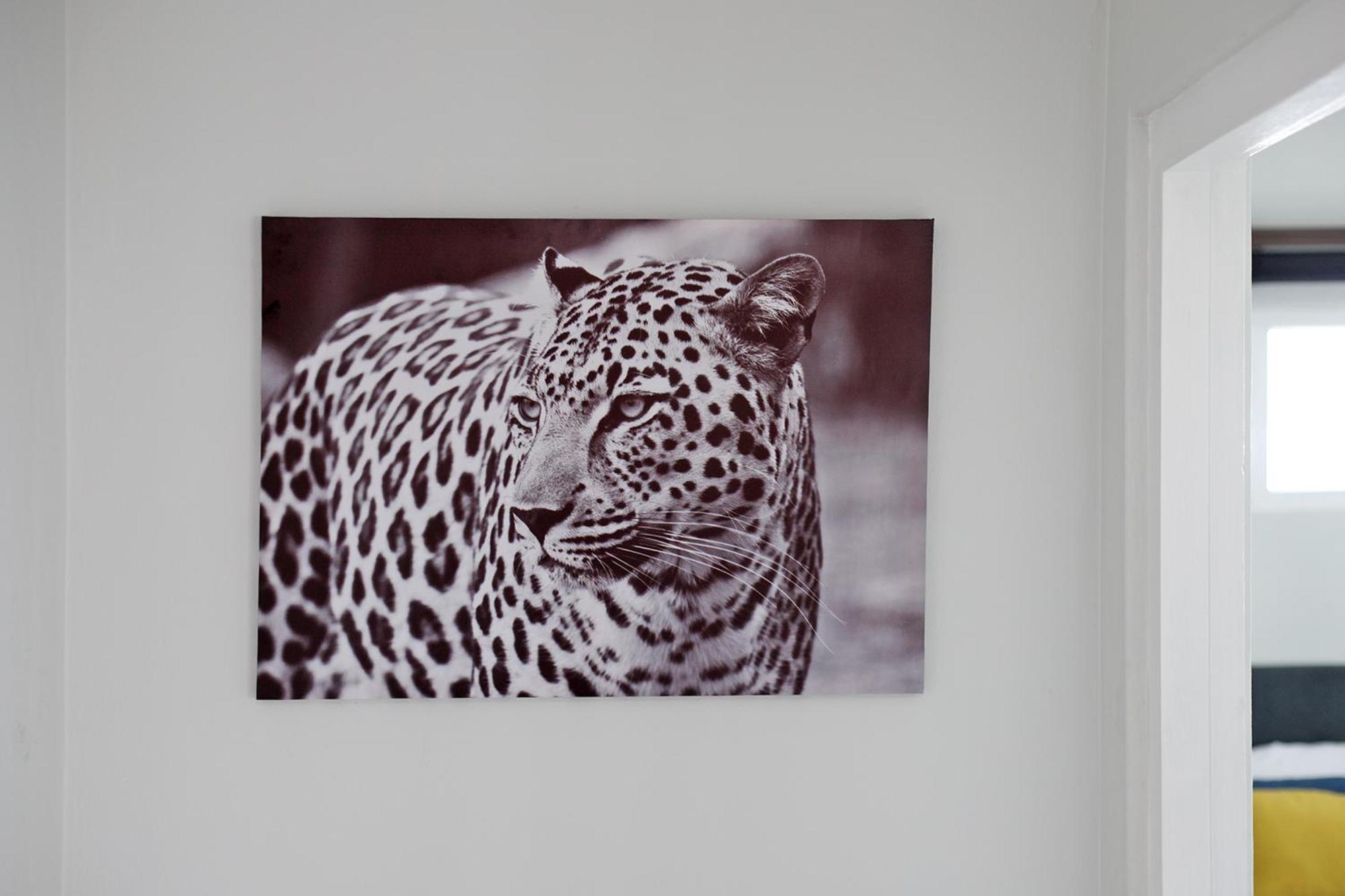 Apartment 2bdr - Explorer Cape Town