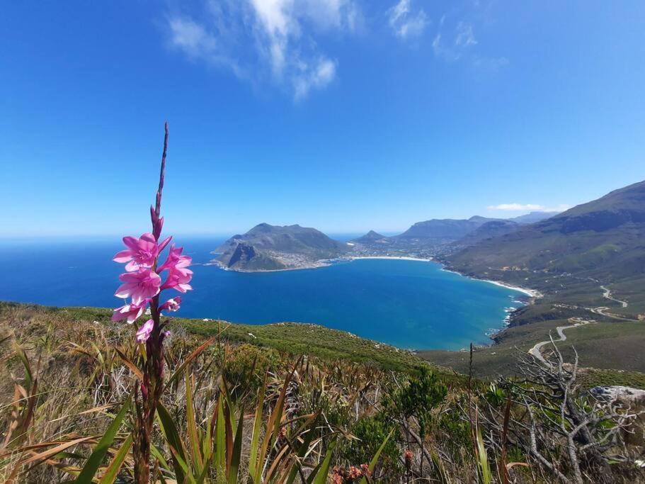 With Magical Mountain And Sea Views *