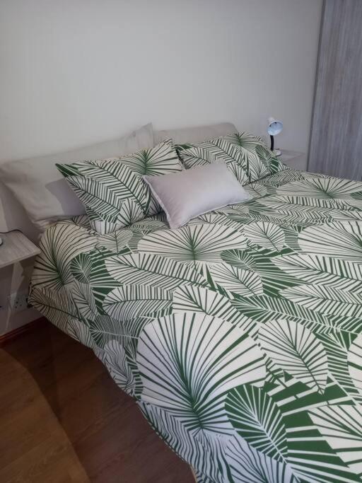 Apartment Entire Spacious Guest In Cape Town