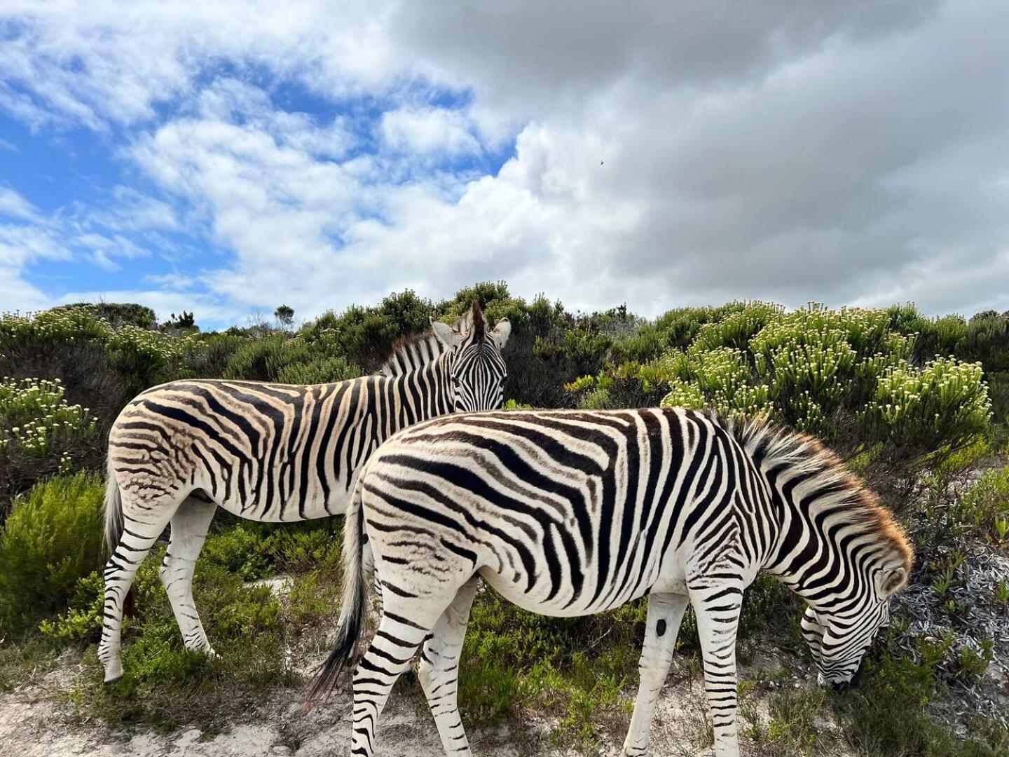 Wildlife & Ocean Retreat *