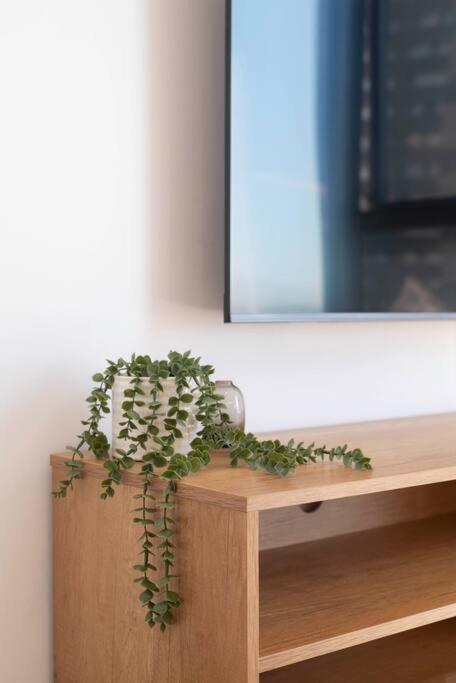 Apartment Stylish In