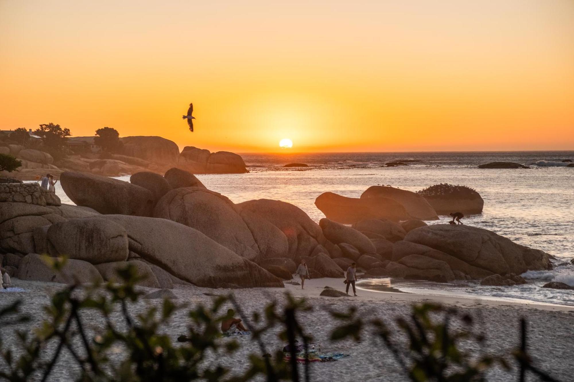 Villa Serene, Comfortable And Chic On The Cape Town