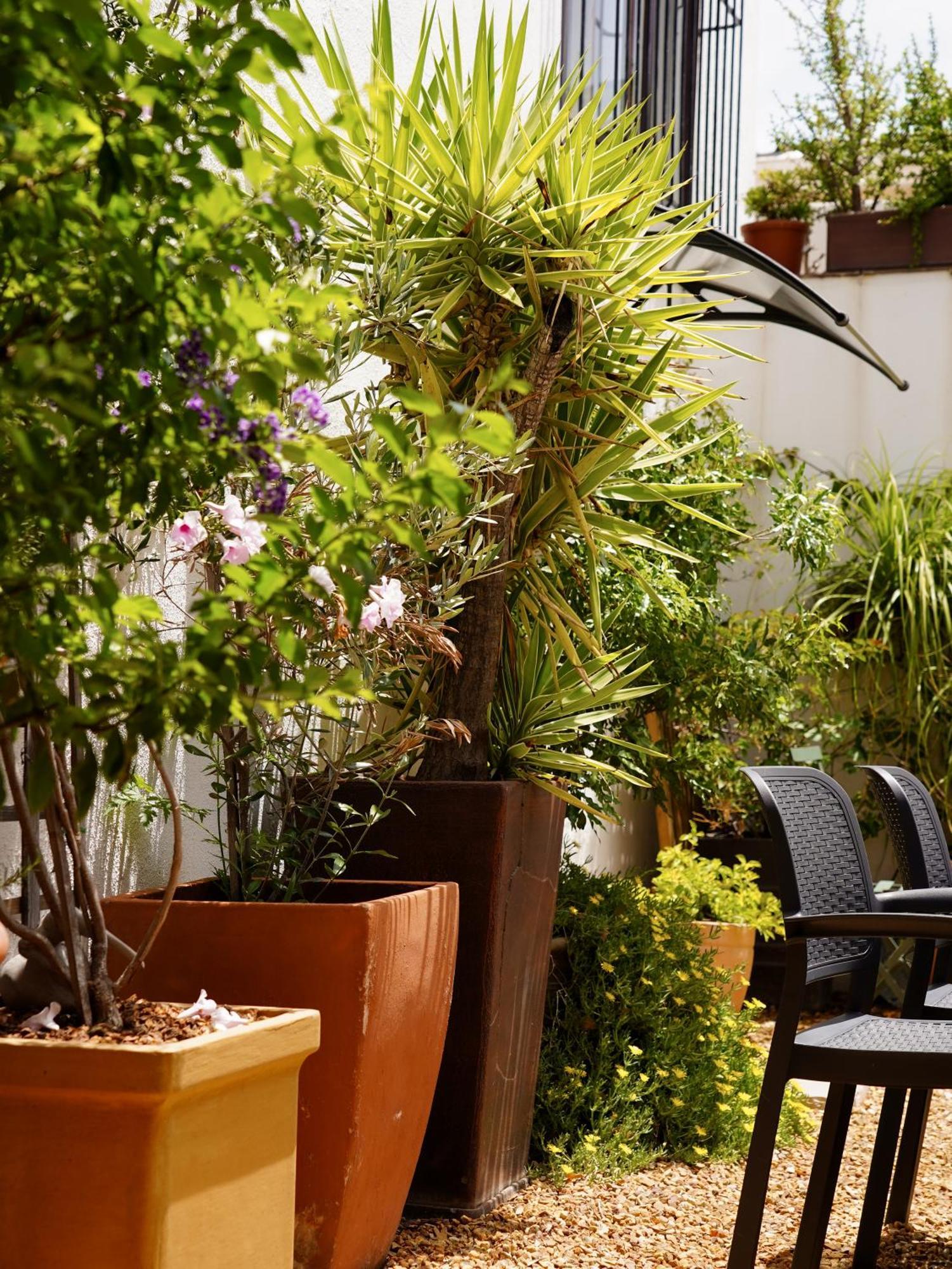 Belmont Guest house Cape Town