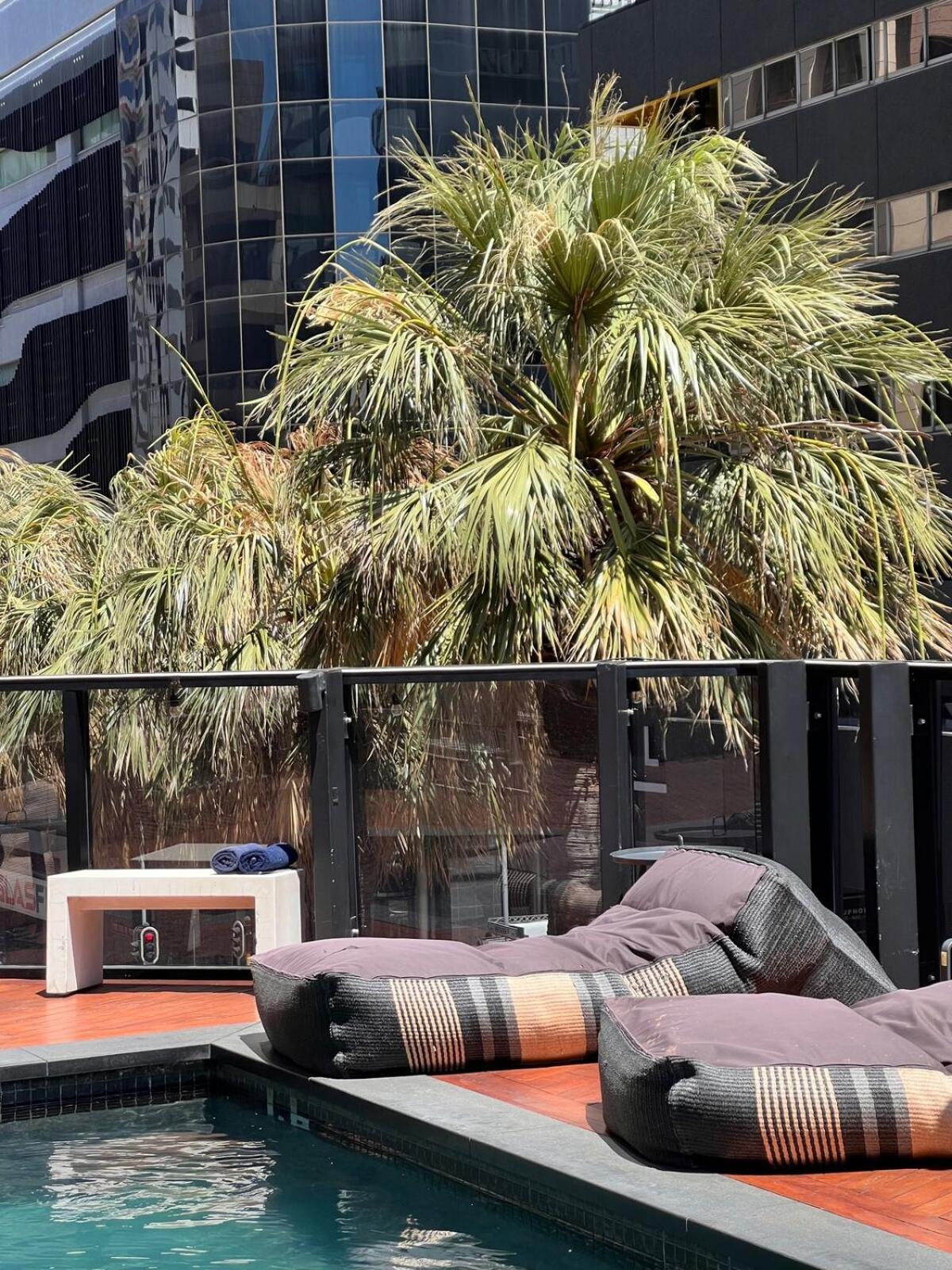 Apartment Stylish 2 Bedroom Table Mountain Views
