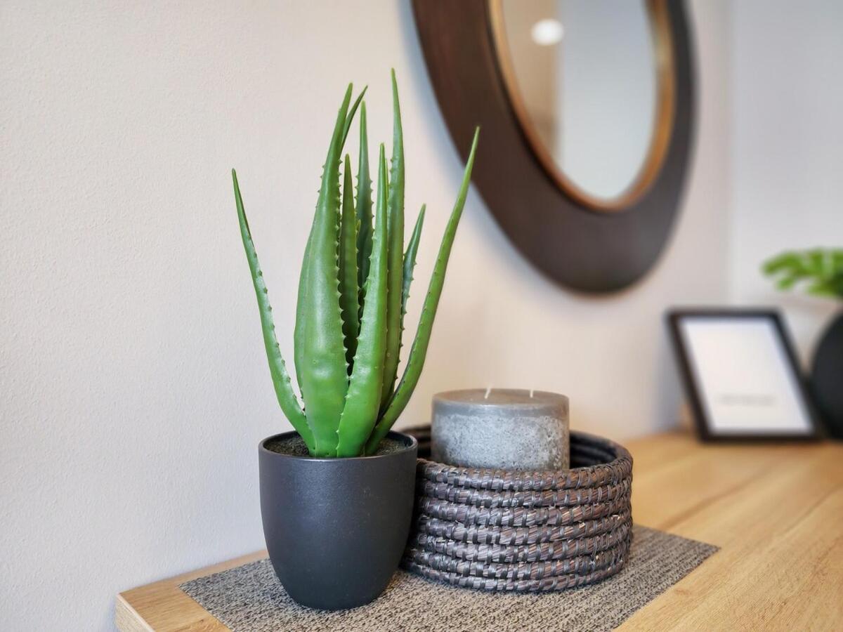 Modern Table Mountain 1br *