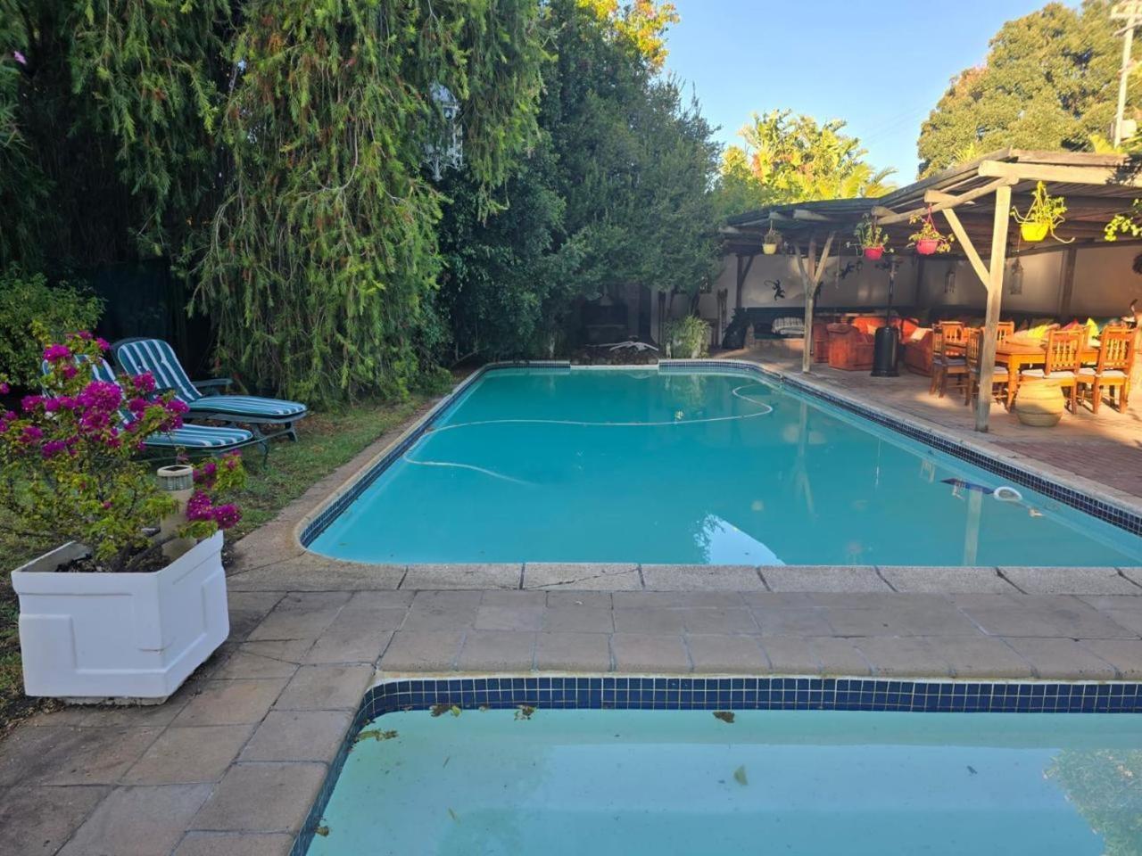 Meyerhof * Cape Town