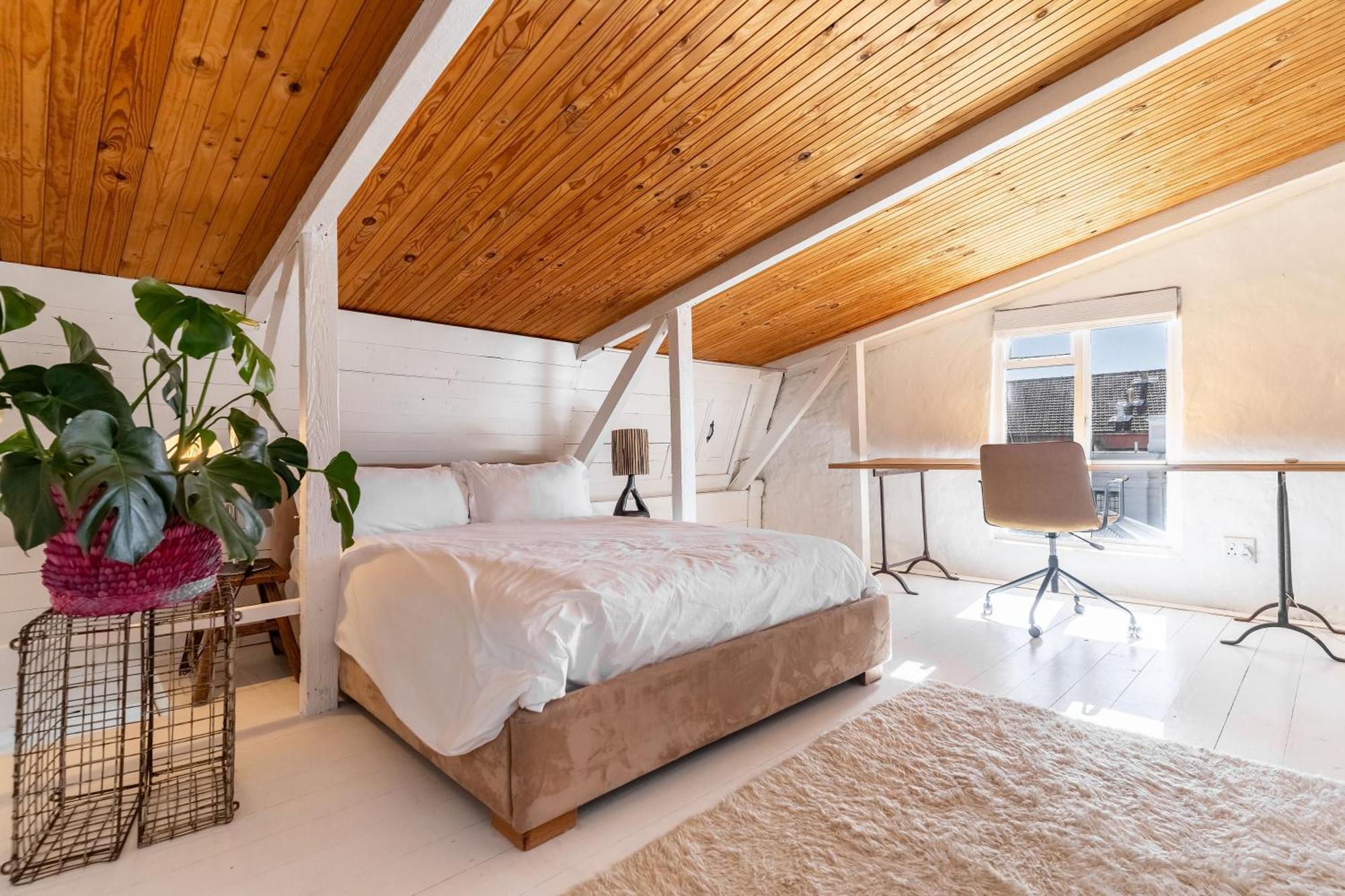 Modernized Victorian House, Full Mountain View Apartamento
