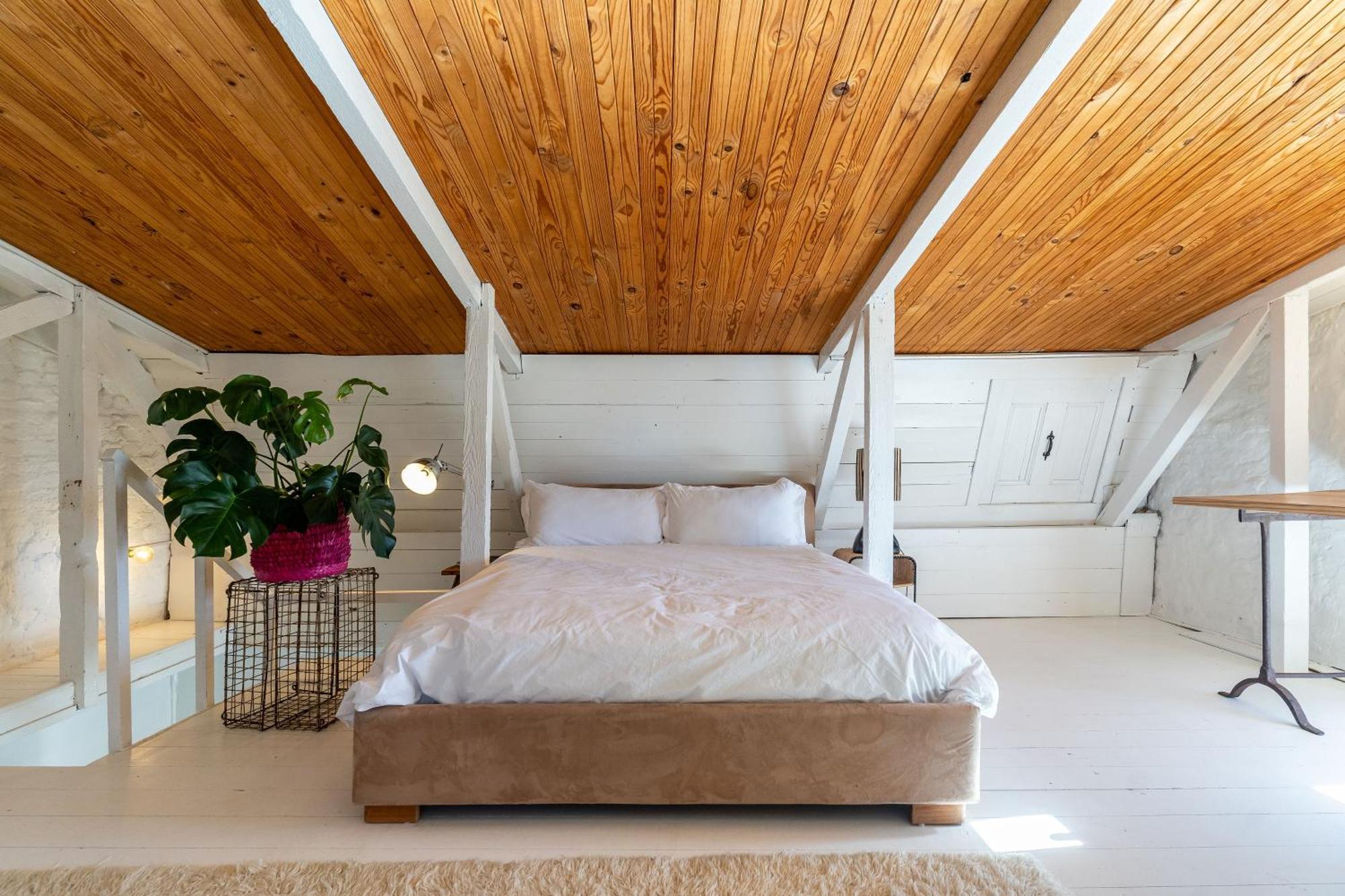 Apartamento Modernized Victorian House, Full Mountain View *