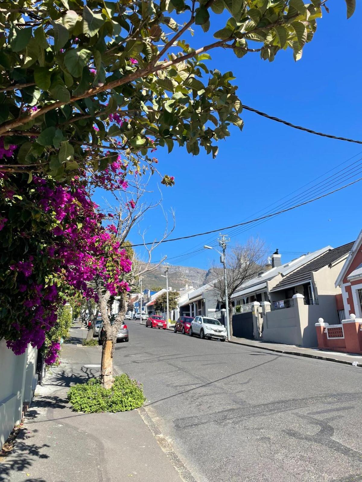 Heritage In Upper Woodstock * Cape Town