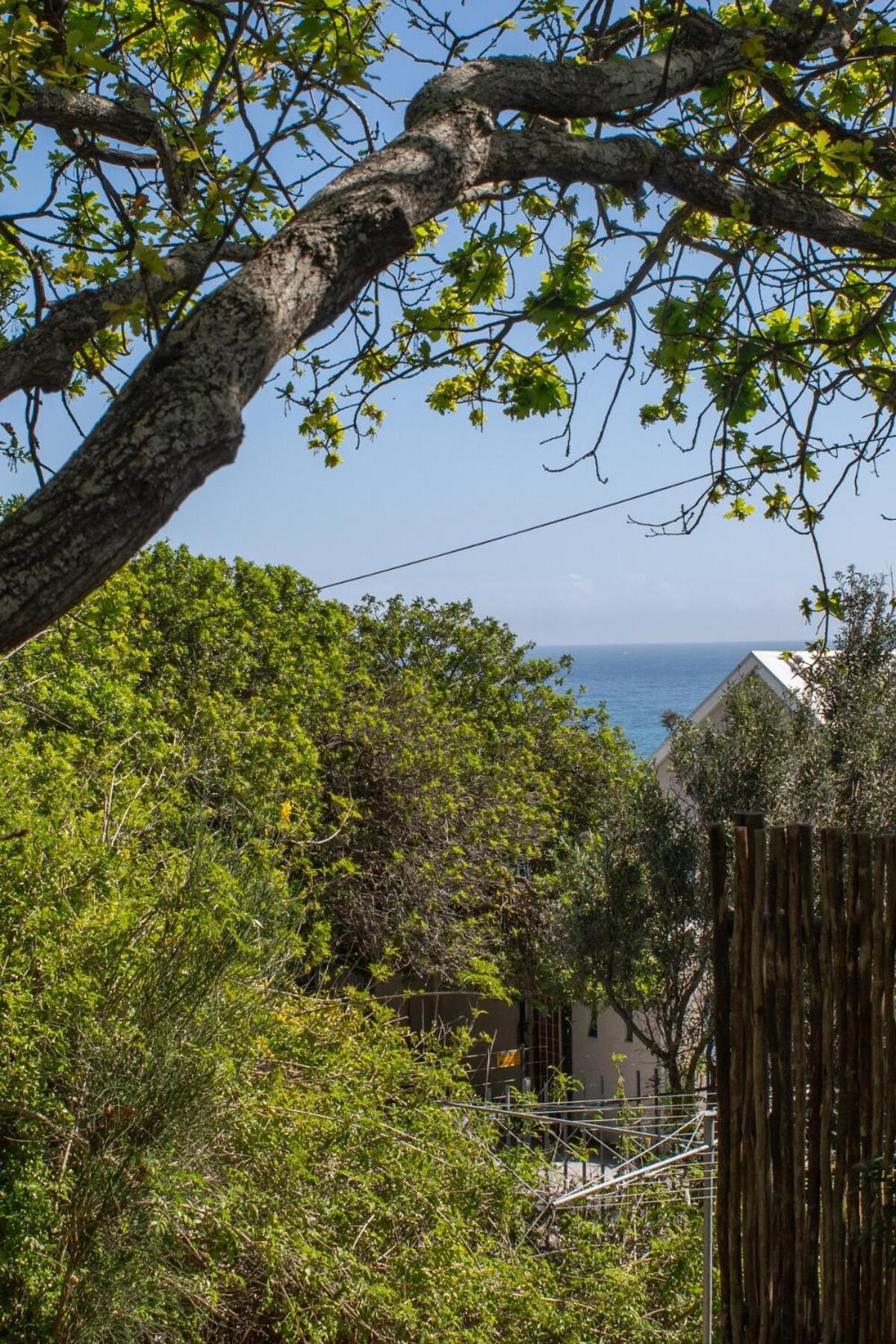 Camps Bay, Garden