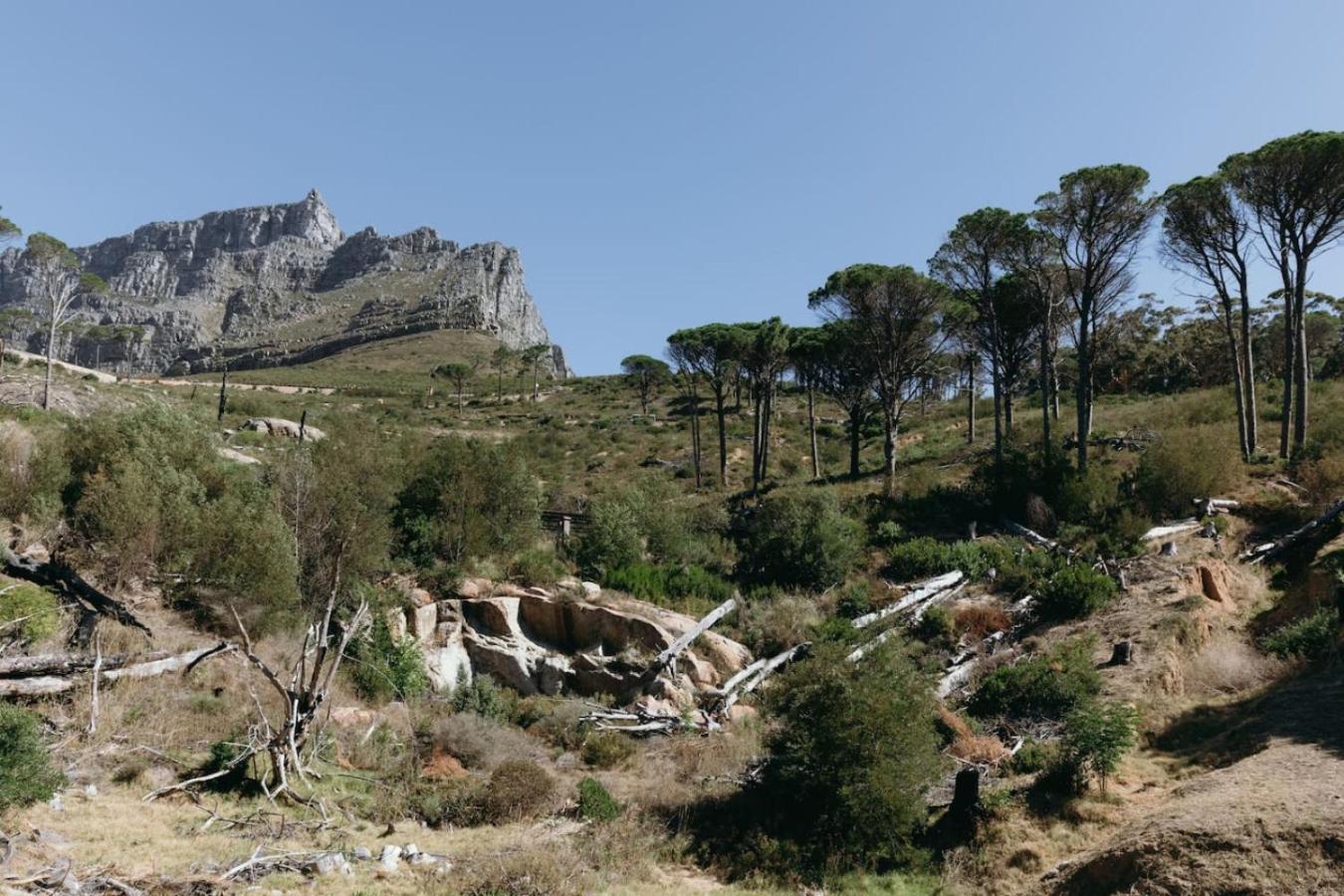 Tarentaal Kloof In Higgovale Villa