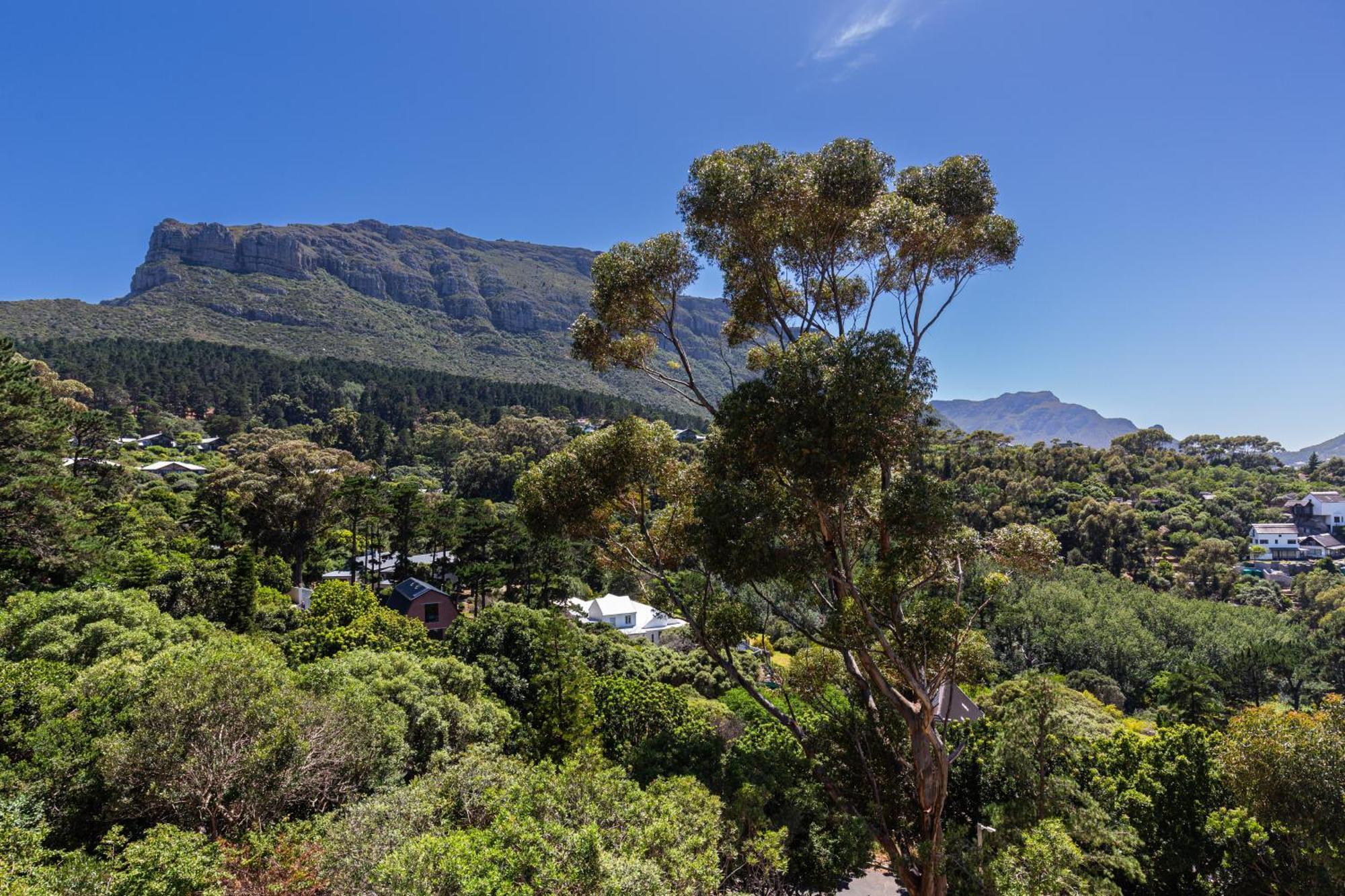 Exclusive Tree With Hot Tub - Power Back-up * Cape Town