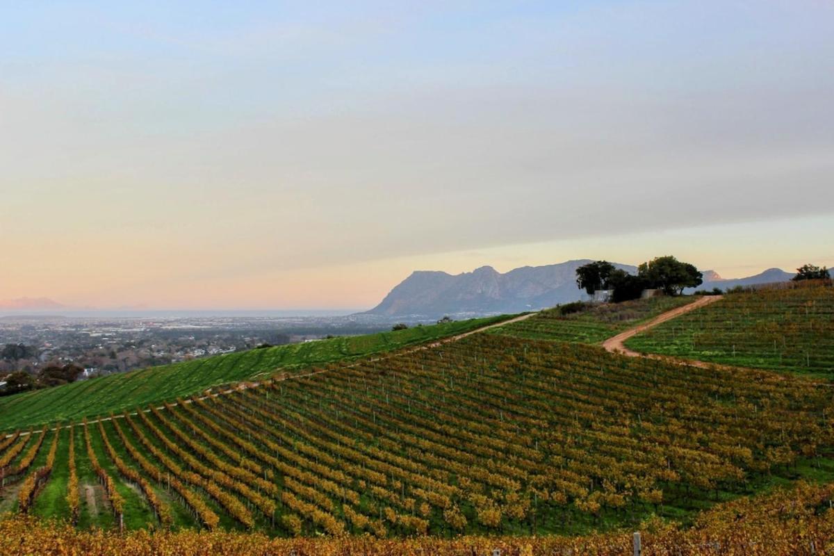 Family Friendly Vineyard Views, Pool And Beautiful Garden Holiday home *