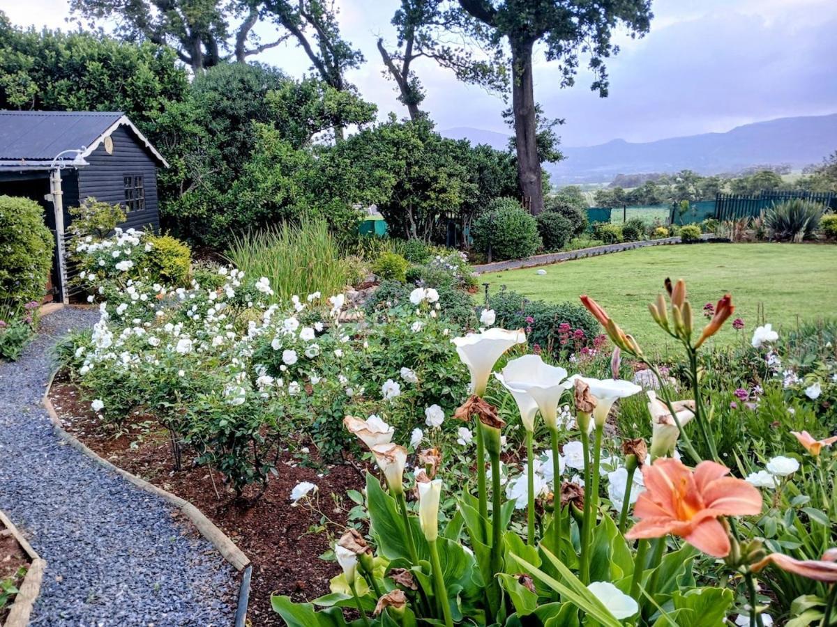 Family Friendly Vineyard Views, Pool And Beautiful Garden Holiday home