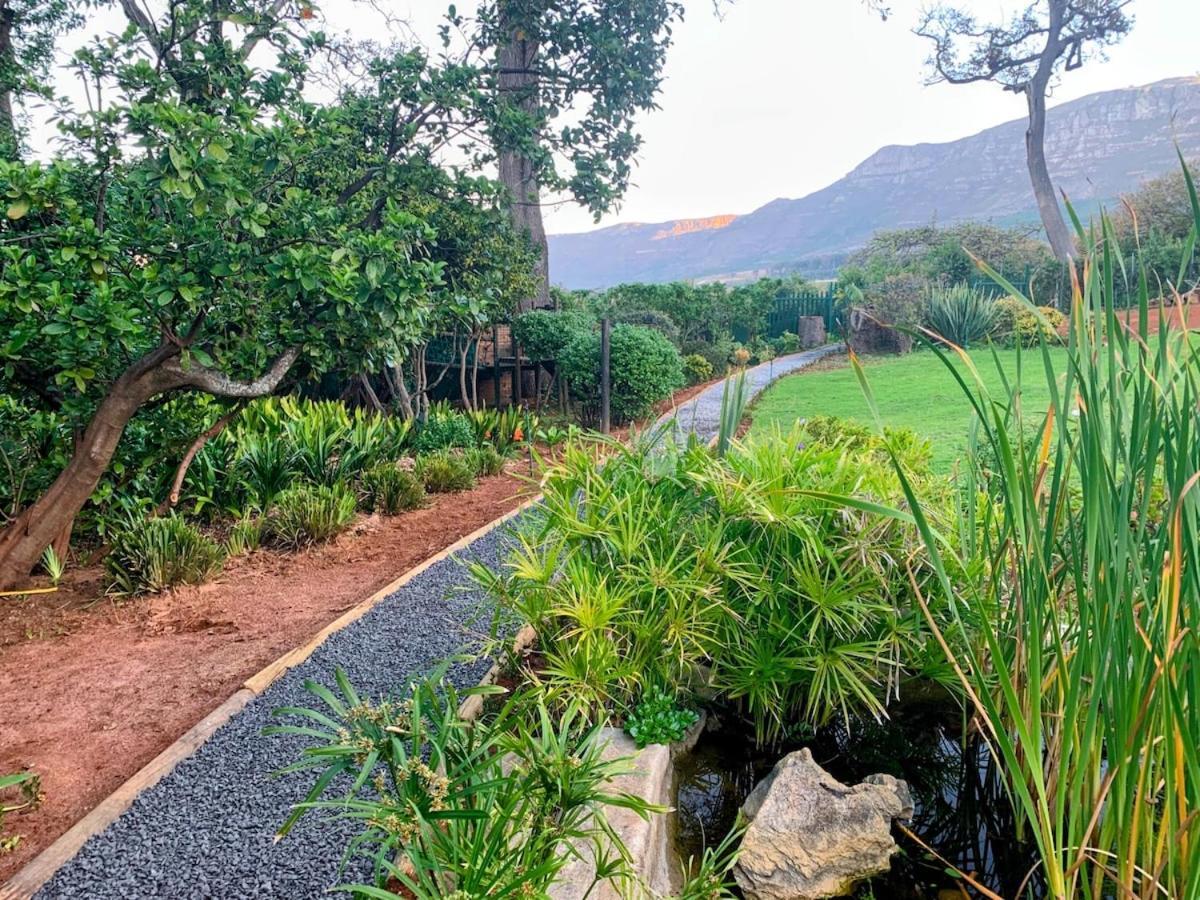 Family Friendly Vineyard Views, Pool And Beautiful Garden Holiday home