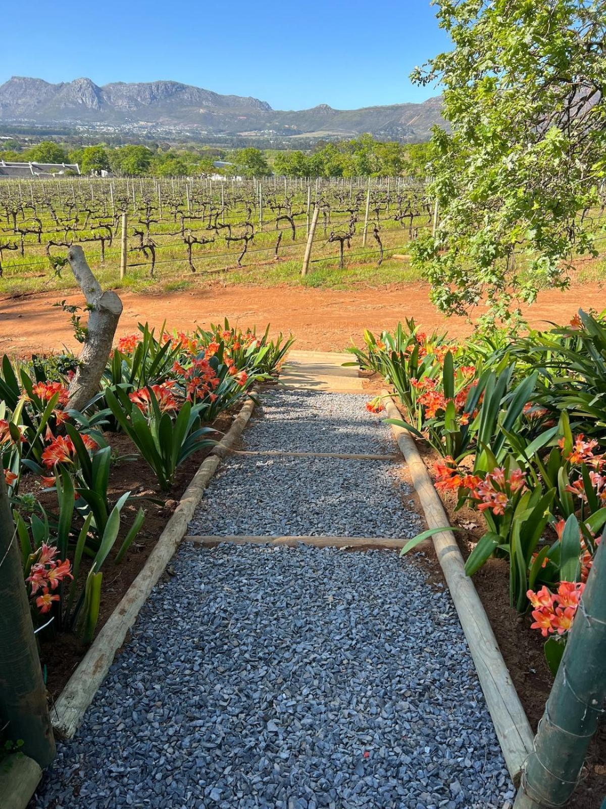 Holiday home Family Friendly Vineyard Views, Pool And Beautiful Garden Cape Town