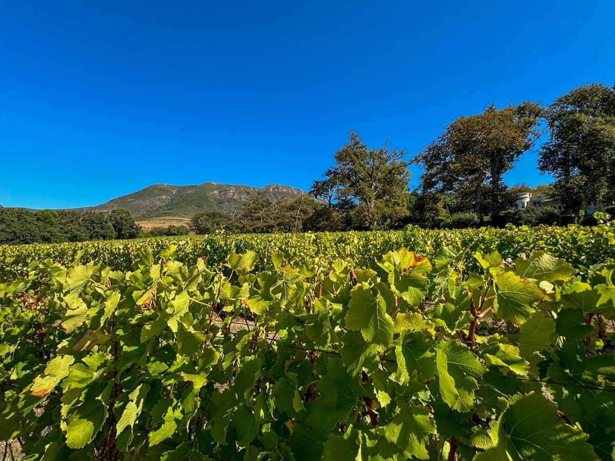 Holiday home Family Friendly Vineyard Views, Pool And Beautiful Garden