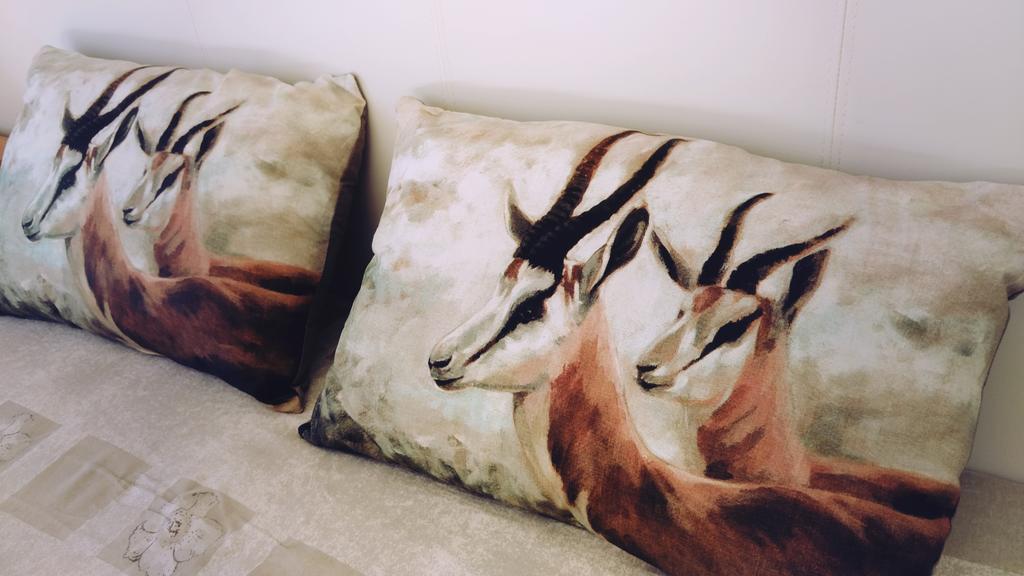 12 Greenpoint Guesthouse Homestay Cape Town