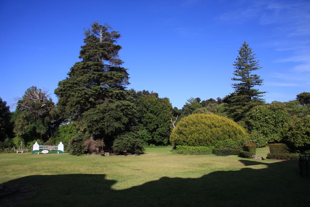 Guest house Greenways Manor