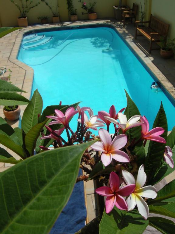 Guest house Loloho Cape Town